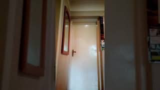 Kot Sekerchi otwiera drzwi do pokoju