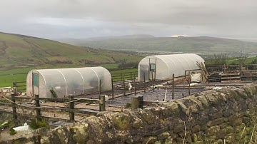 Polytunnels versus Storm Ciara and 75mph winds