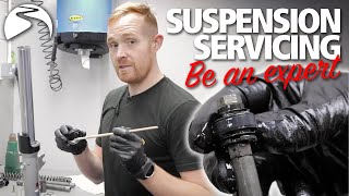 Motorcycle suspension servicing & setup | Be an expert