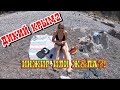 Пляж Инжир превратился в пляж ЖОПА! С палаткой на пляж в Крыму. Балаклава 2021.