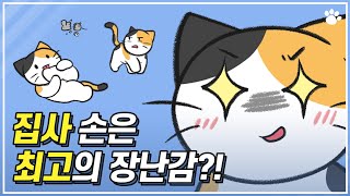 고양이 무는 버릇 고치기! | hoxy 내 손이 맛있어서 무는거야?