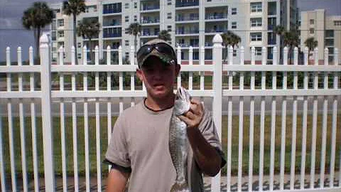 Rest in peace Bradley Ray Summersill.