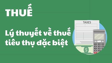 Lý thuyết về thuế tiêu thụ đặc biệt