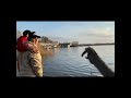 ТОЛЬКО ПРИРОДА И РЫБАЛКА #рыбалка #рыбалка #рыбалка#рыбалка # fishing