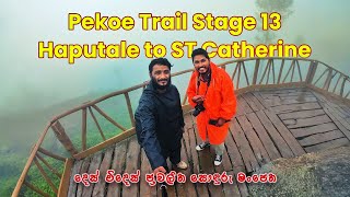 Pekoe Trail Sri Lanka - Stage 13 | Haputale to St Catherine Seat | Ft @thetravelerclick