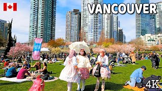 🇨🇦 【4K】🌸🌸🌸 Vancouver's Big Picnic 2022-2023 | David Lam Park | Downtown Vancouver BC, Canada.