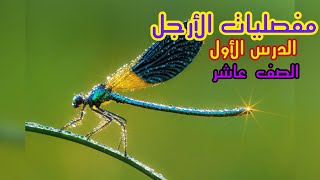 مفصليات الأرجل - الدرس الاول - صف عاشر