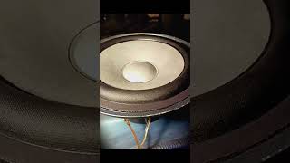 The Movement Of Speaker Cone