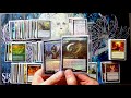 Blex, Vexing Pest - Deck Breakdown - Commander Magic the Gathering Mp3 Song