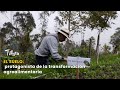 El suelo: protagonista de la transformación agroalimentaria- TvAgro por Juan Gonzalo Angel