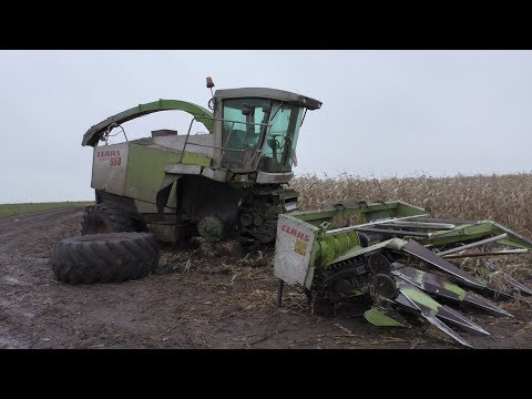 Видео: Что только не увидишь в колхозе