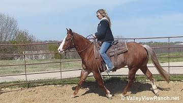 Playnwithmywildthing - riding in the roundpen - ValleyViewRanch.net