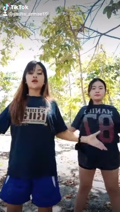 The Lion Sleeps Tonight Remix Tiktok Dance