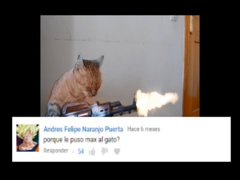 PREGUNTAS Y RESPUESTAS CON MI GATO POR FIN 2 parte