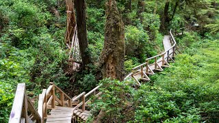 Rainforest Trail (Loop B) - Tofino, British Columbia・4K HDR