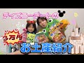 ディズニーデートのお土産紹介！！【3万円分】