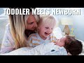 Toddler Meets our Newborn (emotional first time)