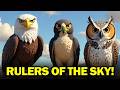 Top 10 Most Amazing Birds of Prey in the World! 🦅✨