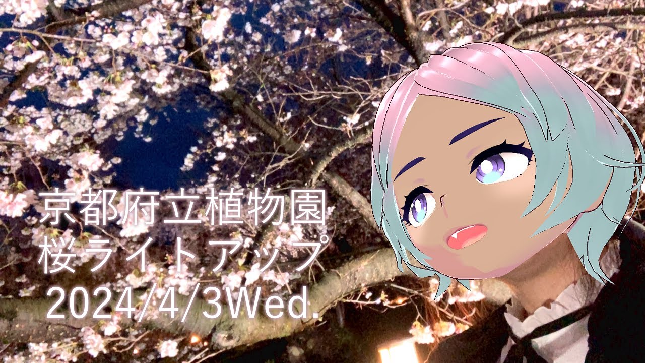 京都府立植物園🌸桜ライトアップに行ってきました🌸Vlog