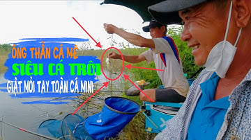 SIÊU CÁ TRÔI (CÁ MÈ) GIẬT TOÀN CÁ MINI, ẨM THỰC HỒ SUỐI RAO | NATURAL FISHING