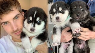 My Puppies Grew so Much!!