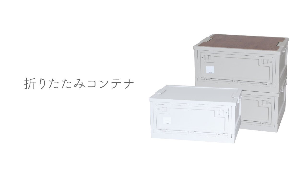 特注品】 ライシン 折りたたみ コンテナボックス キッチン 収納
