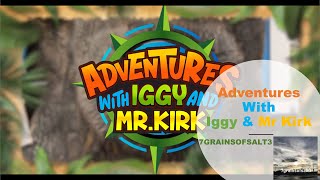 Adventures With Iggy & Mr Kirk by 7grainsofsalt 3 1,150 views 1 month ago 10 minutes, 2 seconds