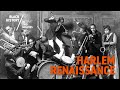 The harlem renaissance