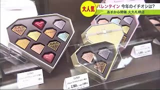 「予算は5、6万円」一粒1,000円超のチョコも！バレンタインデーに向けてチョコレートの祭典 (23/01/28 11:30)