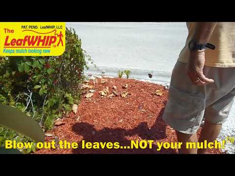 How To Keep Landscape Mulch Clean?