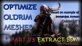BSA Extracting NIF Optimizer and BSarch - Immersive Armors - PART 1 of 3