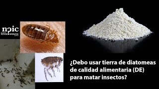 ¿Debo usar tierra de diatomeas de calidad alimentaria (DE) para matar insectos?