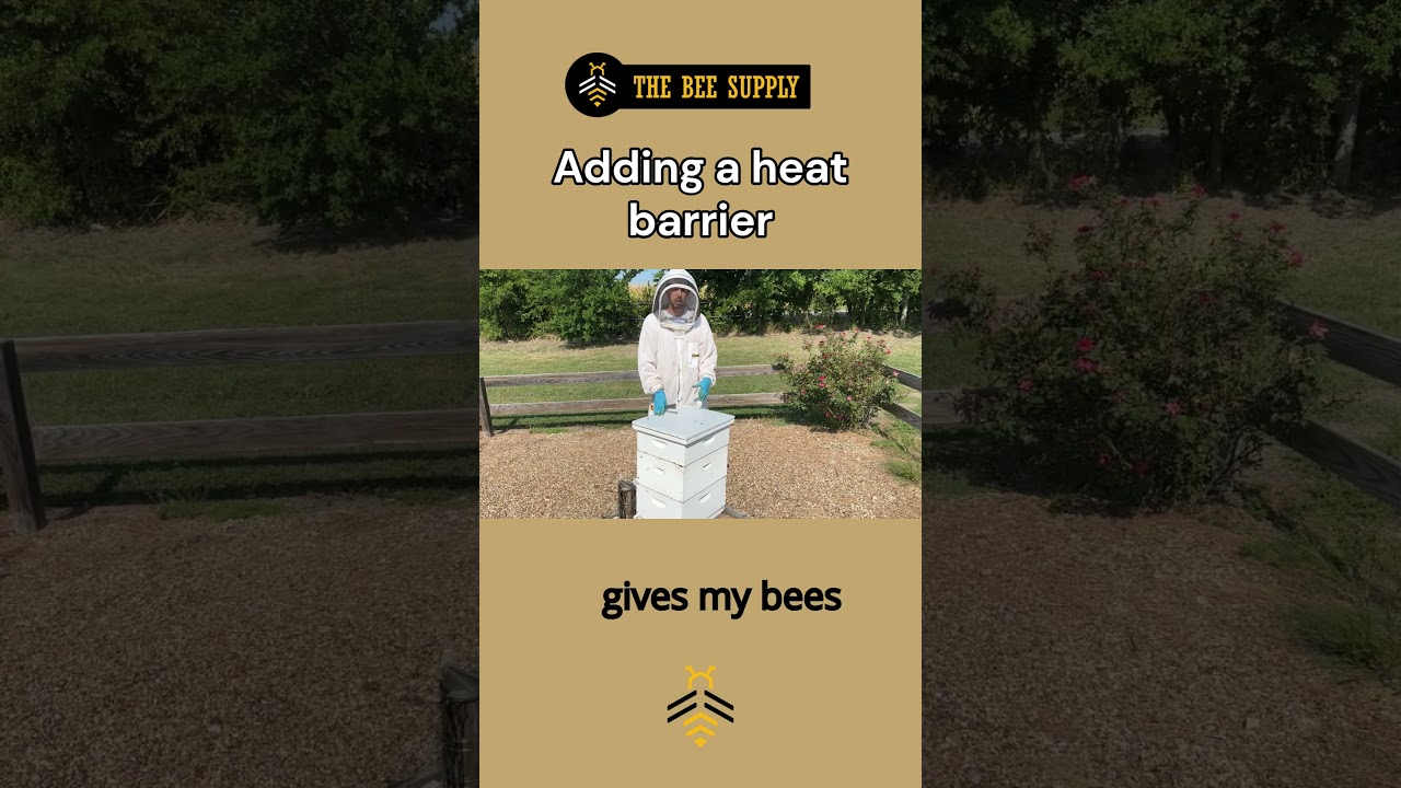 BEEKEEPING in under a minute: Adding a Heat Barrier with Blake Shook