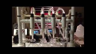 Dispensing food and beverage using leadfluid 4 channels peristaltic pump filling system