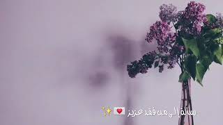 رسالة إلى من فقد عزيز-✨