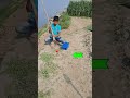 Amazing rat trap #shorts #youtubeshorts