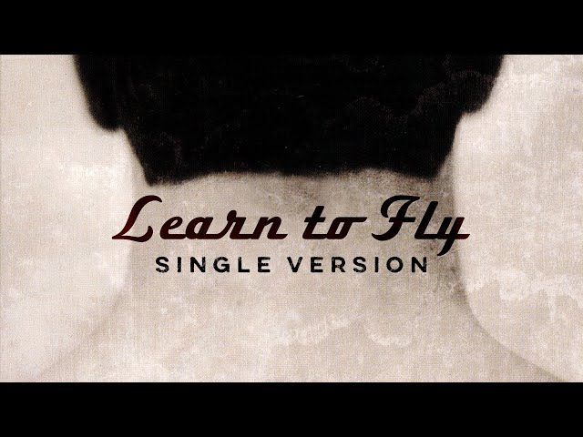 Learn to Fly Song Download by Foo Fighters – There Is Nothing Left