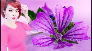 Liên Khúc Ngô Thuỵ Miên - Tình Khúc Buồn, Bản Tình Cuối, Nỗi Đau Muộn Màng.