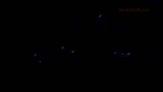 WhoBob WhatPants | Theme Song | Serbian 🇷🇸 (Gold Digi-Net)