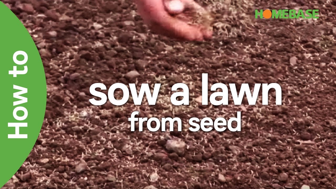 How To Sow A Lawn From Seed Easy Steps Grow Garden Ideas Tips Homebase You Easy Steps To Grow A Lawn From Seed