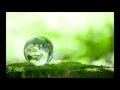 池田綾子 Greensleeves (グリーンスリーブス)