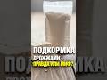 Подкормка дрожжами правда или миф #дача #сад #огород #дрожжи