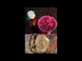 [FREE] Veeze x Babyface Ray Sample Type Beat - 'Baby Girl'