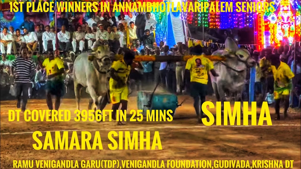 RAMU VENIGANDLA GARU(TDP),GUDIVADA ,KRISHNA DT  BULLS WON 1ST PLACE IN ANNAMBOTLAVARIPALEM SENIORS