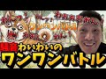 【音量注意】うるさすぎる狂犬わいわいのワンワンバトル!誰にも負けない技を編み出す!【twitch】【2026/5/5】切り抜き