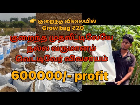 குறைந்த முதலீட்டிலேயே நல்ல வருமானம் வெட்டிவேர் விவசாயம் 60000/- profit 🤯🌱🌱#vetiver#vetiverroots