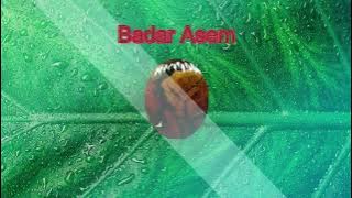 Batu Badar Asem