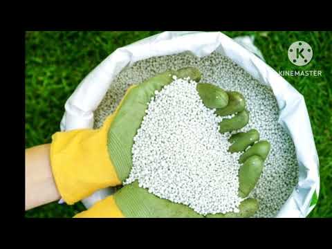 اسعار الاسمدة اليوم فى مصر الأسمدة الزراعة في مصر اسعار الاسمدة