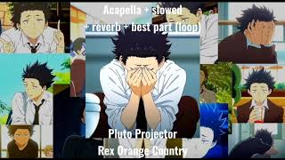 Pluto Projector-Rex Orange Country (Acapella + Slowed + Reverb + Best part) old enough to understand