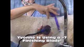Pet Grooming School Online Courses Pet Grooming School Online Courses